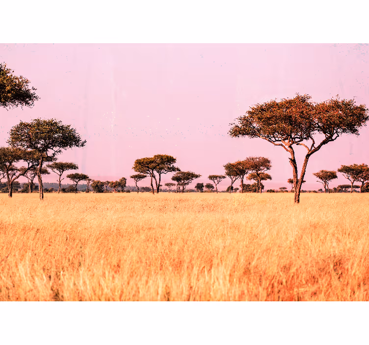 Fotomurais de paisagens Savana africana original - TenStickers