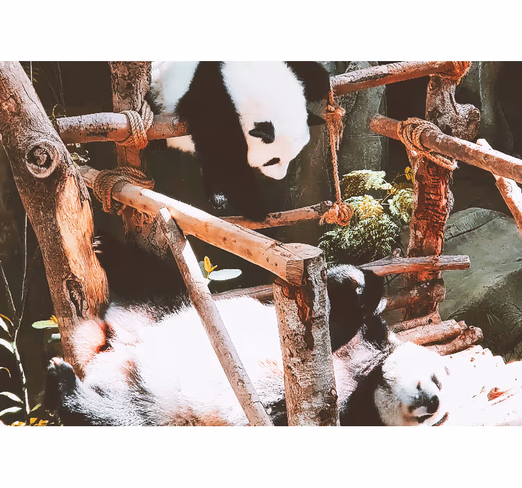 Mural de parede animais cena de brincadeira com panda - TenStickers
