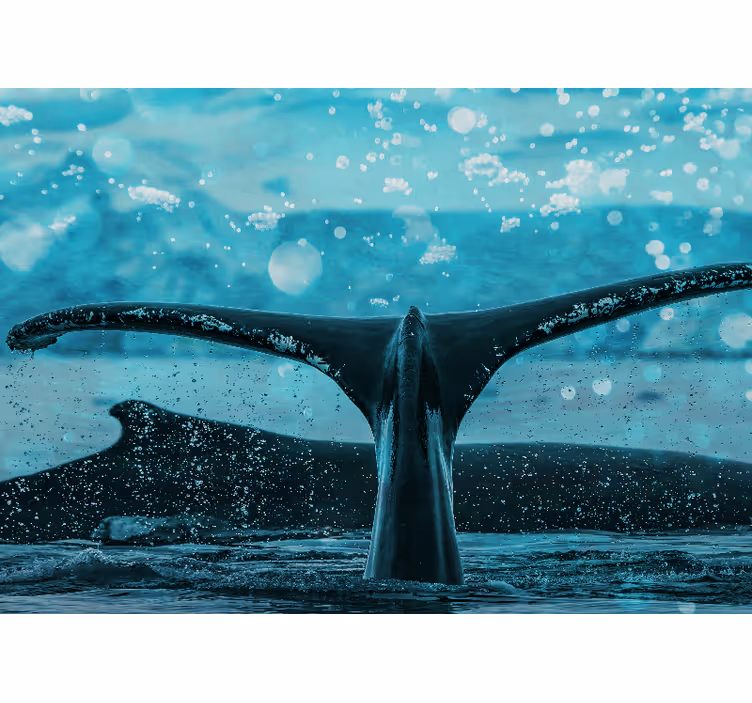 Mural de parede animais splash da cauda da baleia - TenStickers