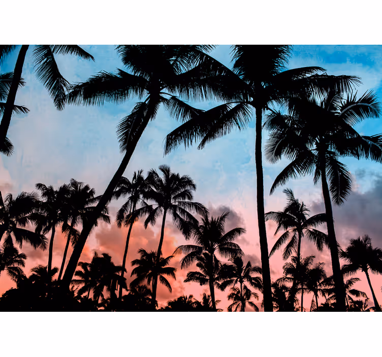 Mural de parede natureza sombras de palmas tropicais - TenStickers