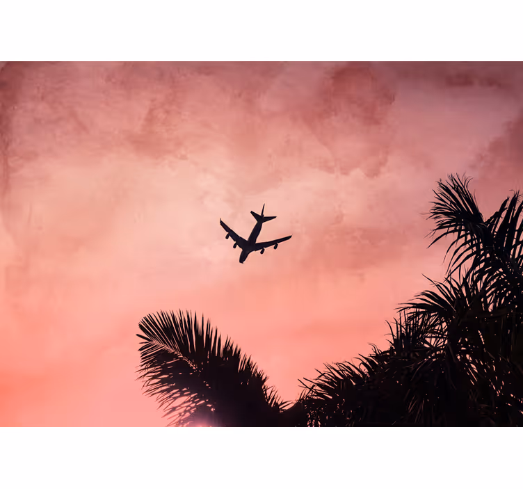 Mural de parede veículos silhueta de avião ao anoitecer - TenStickers