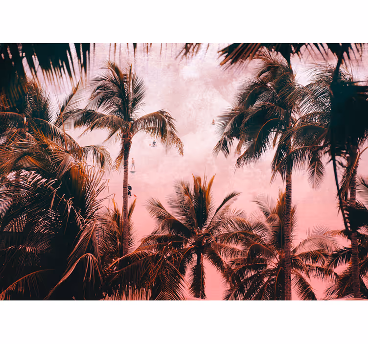 Fotomurais de paisagens Palmeiras durante o dia paisagem - TenStickers