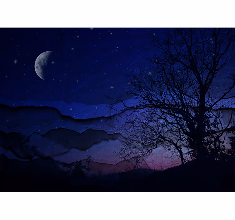 Mural de parede céu noite iluminada pela lua - TenStickers