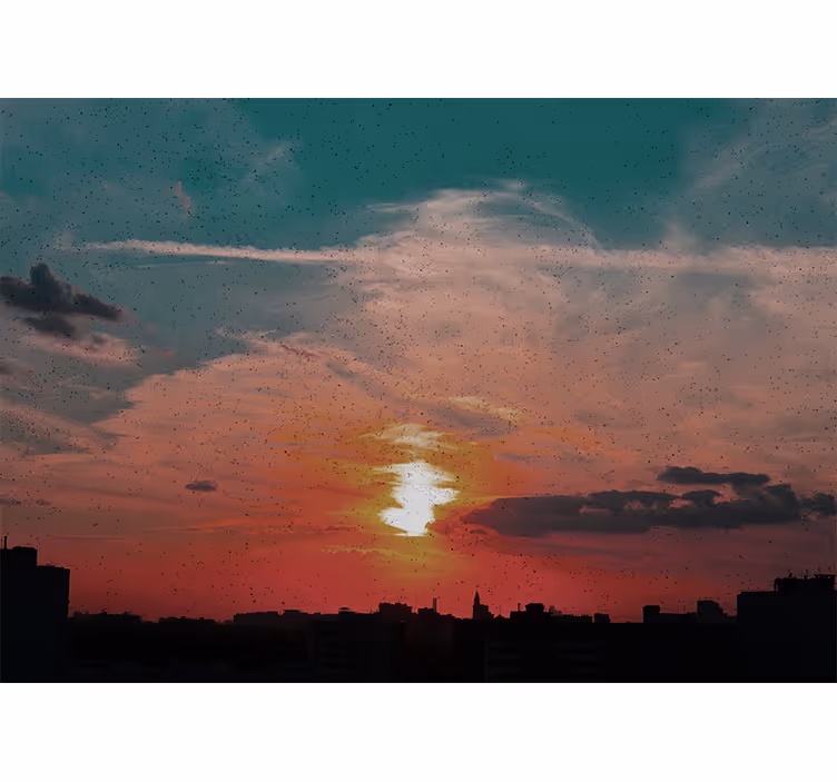 Fotomurais de paisagens pôr do sol sobre a cidade - TenStickers