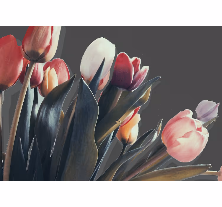 Fotomurais flores exibição de flores de tulipa - TenStickers