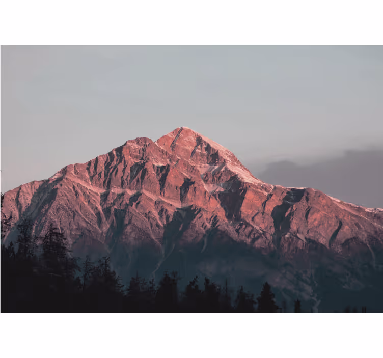 Fotomurais de paisagens Fotografia estética natural - TenStickers