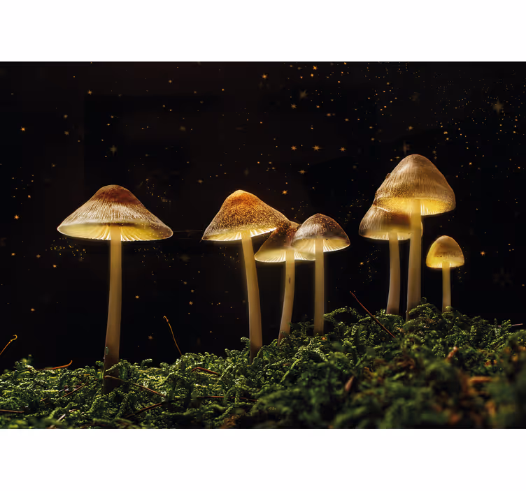 Mural de parede natureza cena de cogumelos luminosos - TenStickers