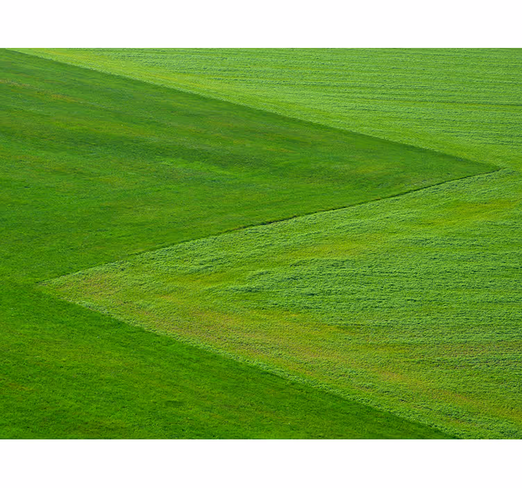 Mural de parede natureza campos verdes puros - TenStickers