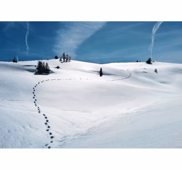 Mural de parede montanha caminho da montanha neve - TenStickers
