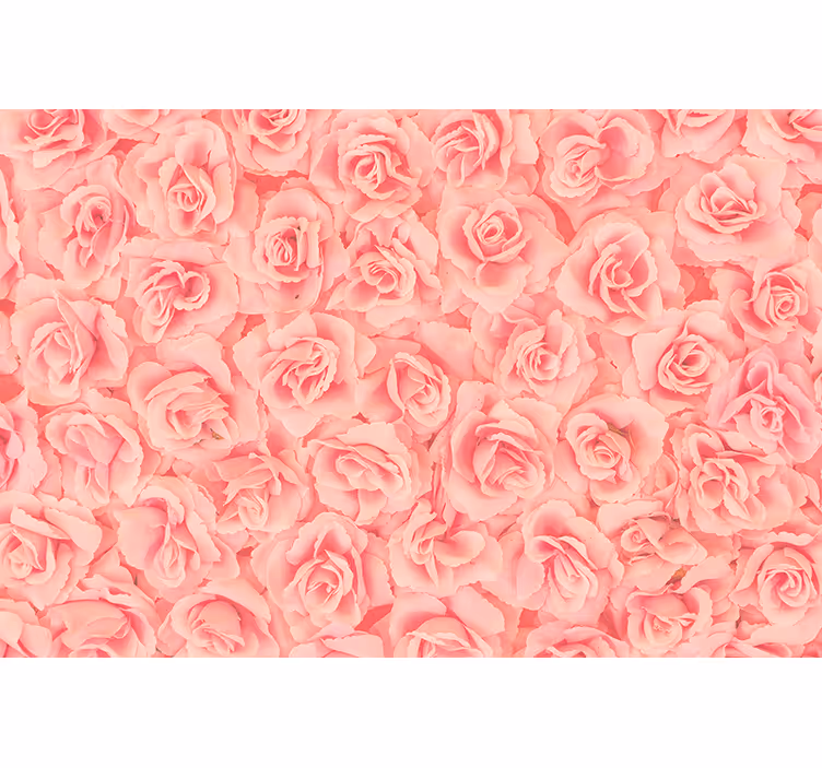 Fotomurais flores rosas em flor - TenStickers