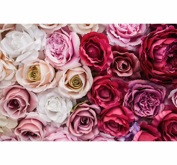 Fotomurais flores coleção de rosas bonitas - TenStickers