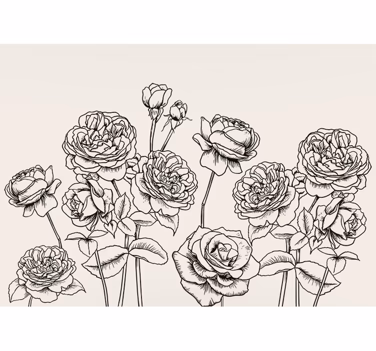 Fotomurais flores design de rosas elegantes - TenStickers
