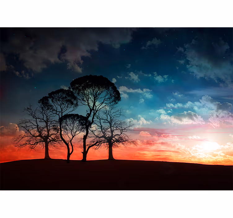 Mural de parede de árvores silhueta de árvore ao pôr do sol - TenStickers