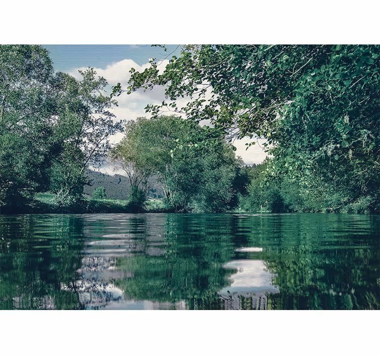 Mural de parede natureza paisagem de rio tranquilo - TenStickers
