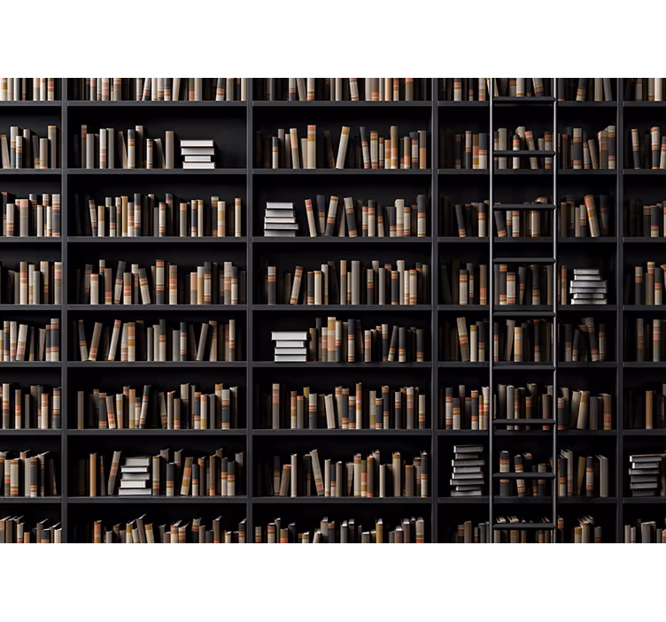 Mural de parede pedra com variedade de livros - TenStickers