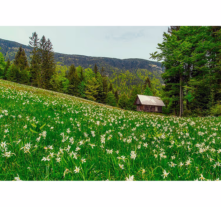 Mural de parede natureza paisagem pastoral serena - TenStickers