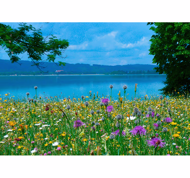 Fotomurais flores flora de pradaria luxuriante - TenStickers