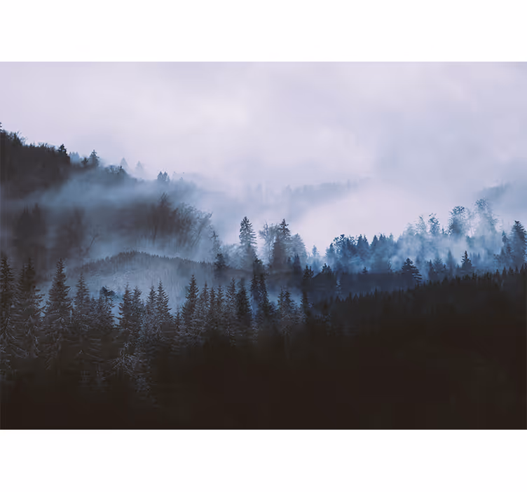 Mural de parede bosques paisagem nebulosa verdejante - TenStickers
