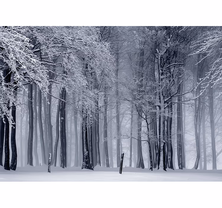 Mural de parede bosques paisagem de árvores nevadas - TenStickers