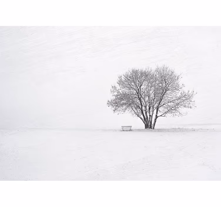 Mural de parede natureza Árvore solitária nevada - TenStickers