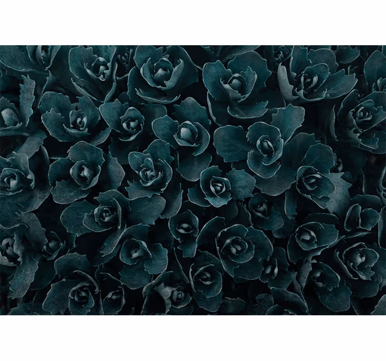 Fotomurais flores rosa elegante em flor - TenStickers