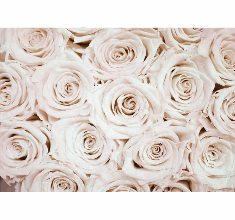 Fotomurais flores arranjo de rosas suaves - TenStickers