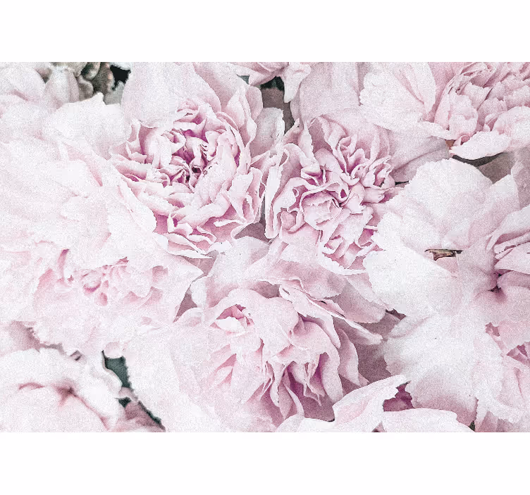Fotomurais flores botões rosa claro - TenStickers