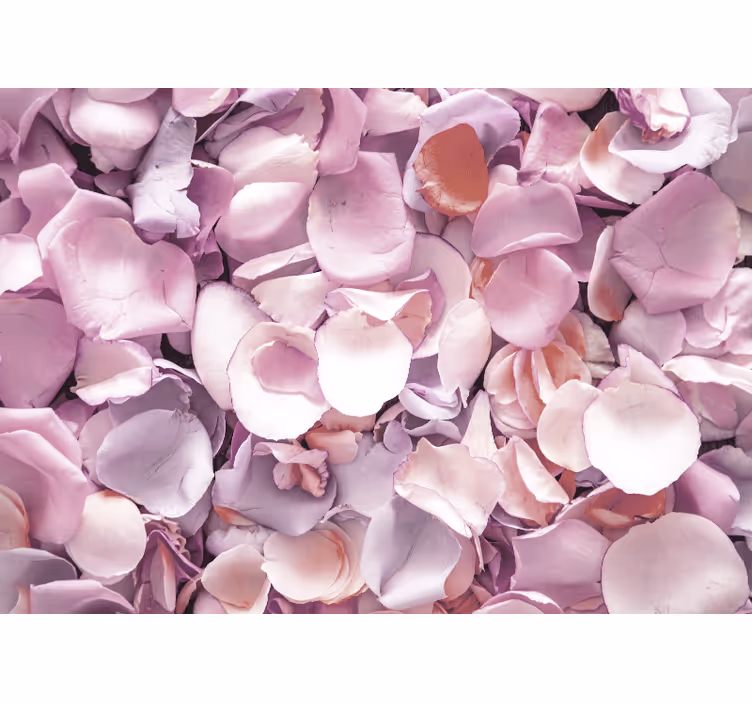 Fotomurais flores close-up de pétalas de rosa - TenStickers