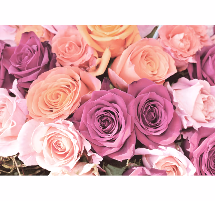 Fotomurais flores buquê de rosas em close-up - TenStickers
