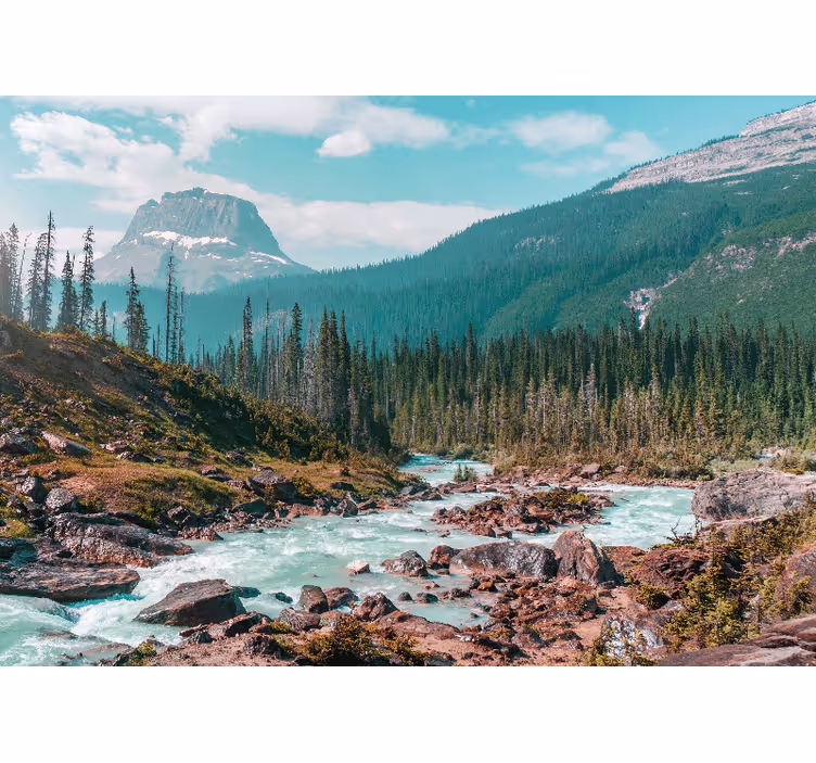 Fotomurais de paisagens riacho verdejante nas montanhas - TenStickers