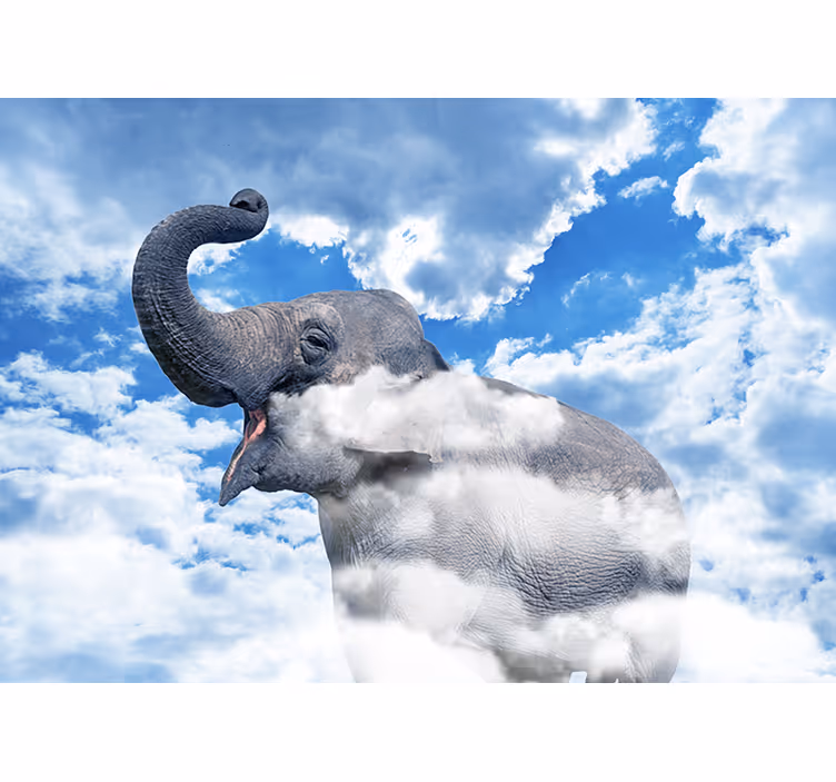 Mural de parede animais elefante nas nuvens - TenStickers