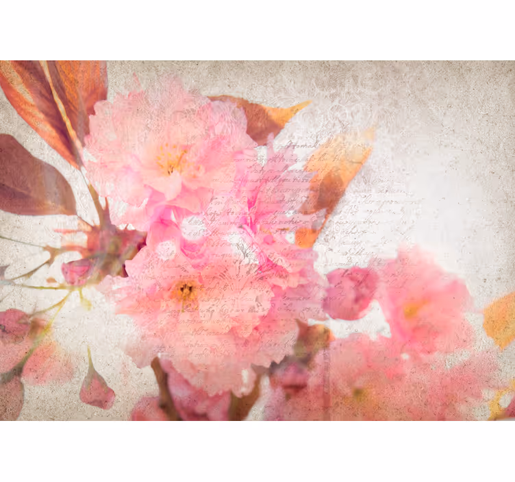 Fotomurais flores flor de cerejeira - TenStickers