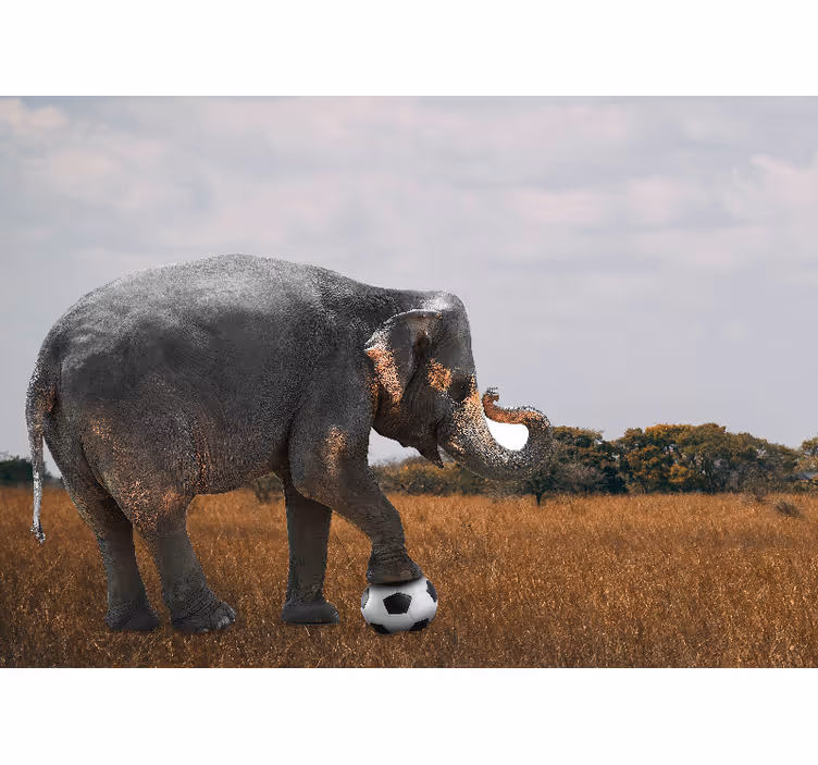 Mural de parede animais elefante jogando futebol - TenStickers