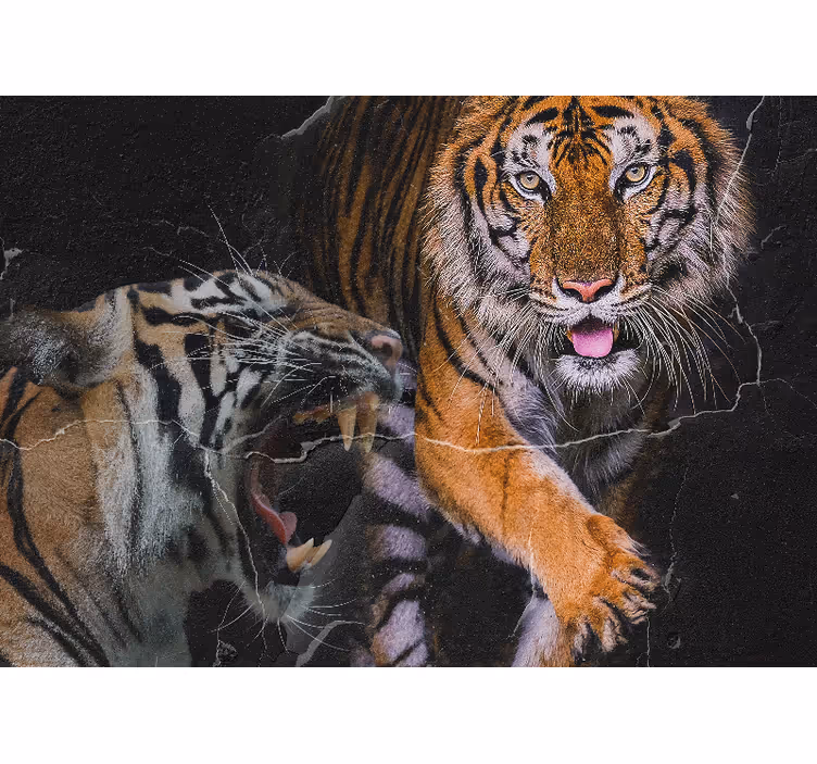 Mural de parede animais encontro com o tigre majestoso - TenStickers