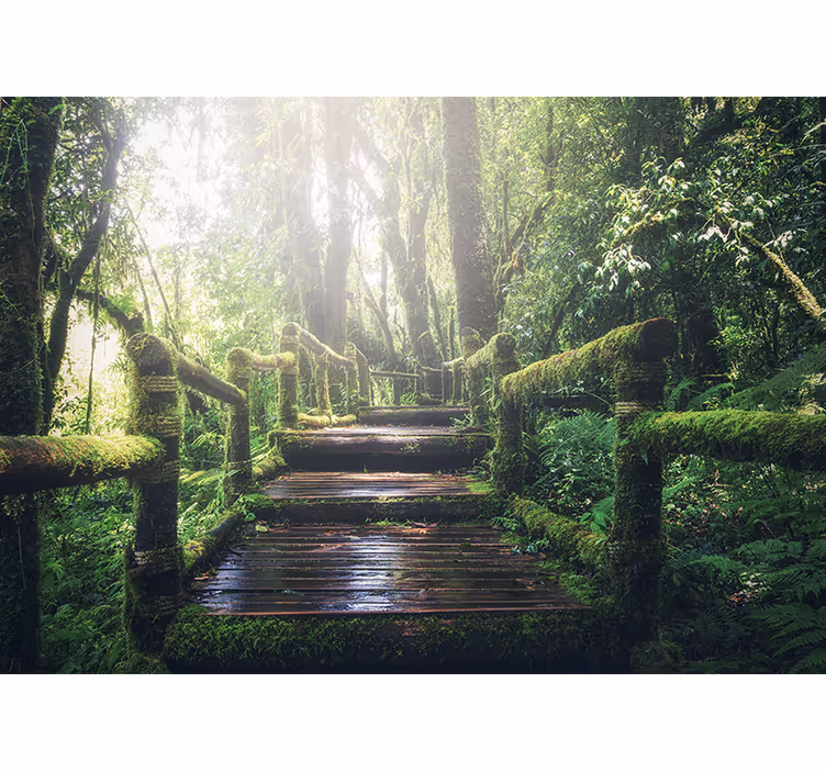Mural de parede natureza trilha florestal luxuriante - TenStickers