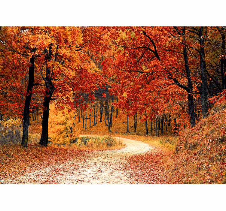 Fotomurais de paisagens Floresta de folhas vermelhas - TenStickers