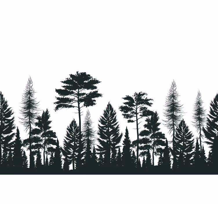Mural de parede natureza Árvores perenes silhuetadas - TenStickers