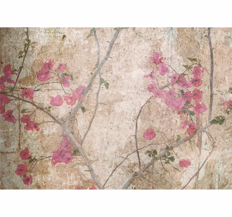 Fotomurais flores flores de bougainvillea rosa - TenStickers