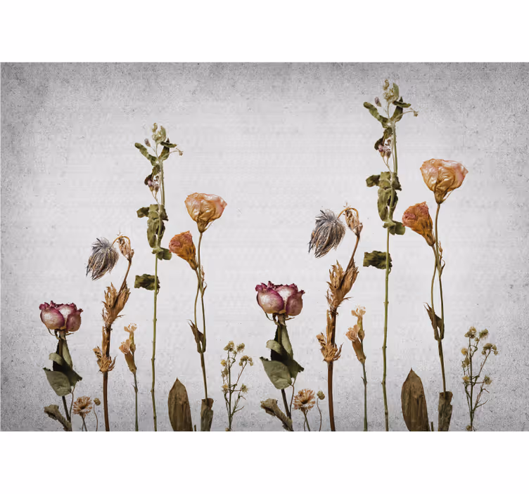 Fotomurais flores arranjo floral seco - TenStickers