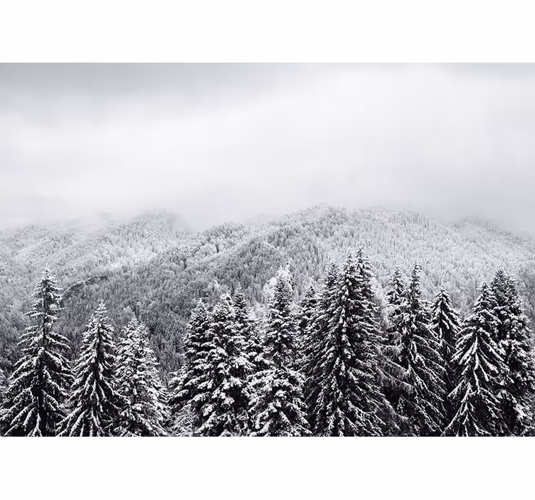 Mural de parede natureza paisagem invernal da floresta - TenStickers