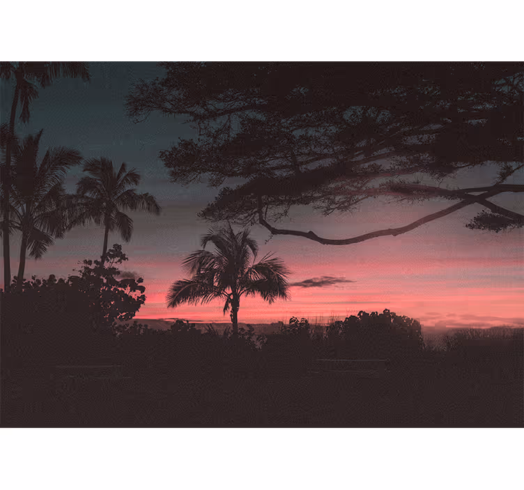 Fotomurais de paisagens silhueta do pôr do sol tropical - TenStickers