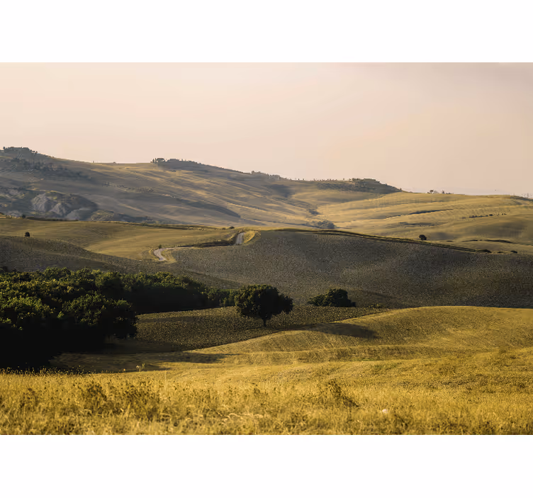 Fotomurais de paisagens colinas onduladas - TenStickers