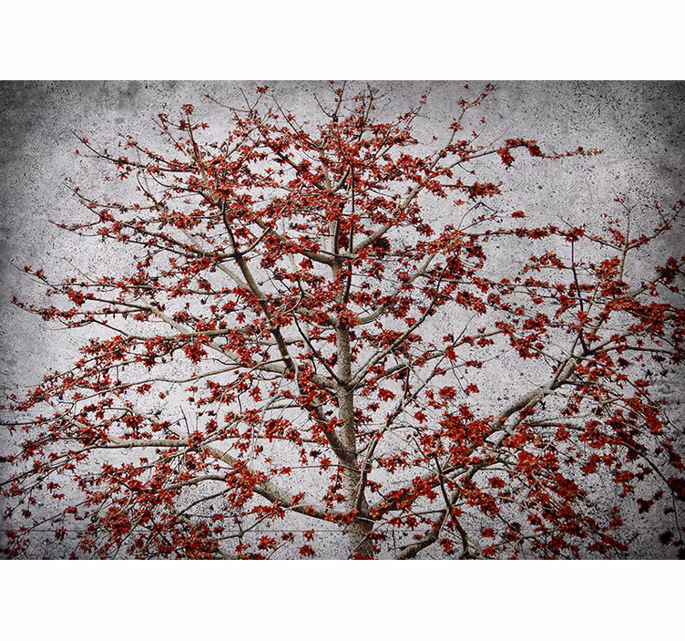 Fotomurais flores Árvore de flores vermelhas - TenStickers