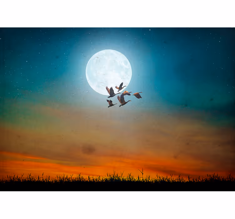 Mural de parede natureza céu noturno em revoada - TenStickers