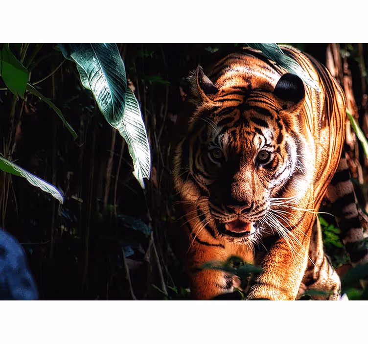 Mural de parede animais tigre majestoso à espreita - TenStickers