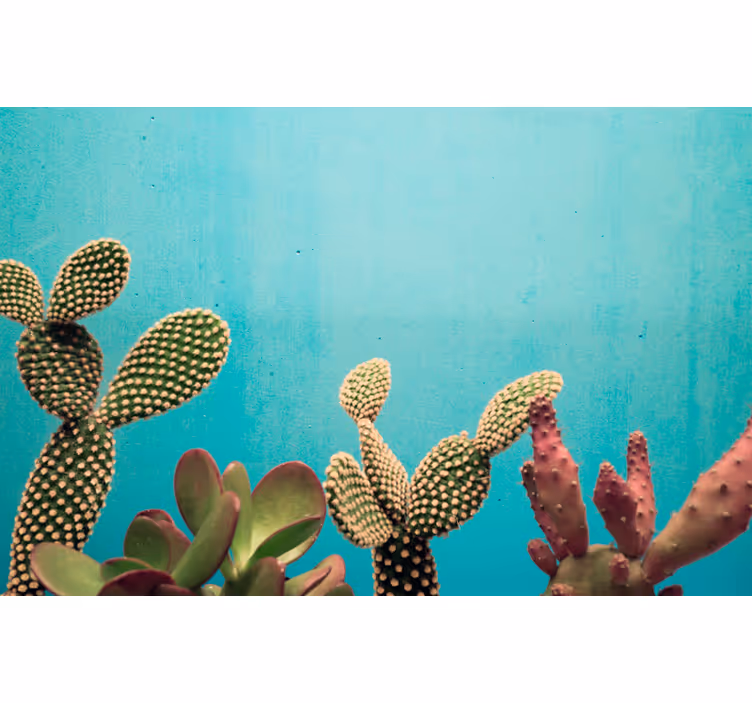 Fotomural cactus com fundo azul - TenStickers
