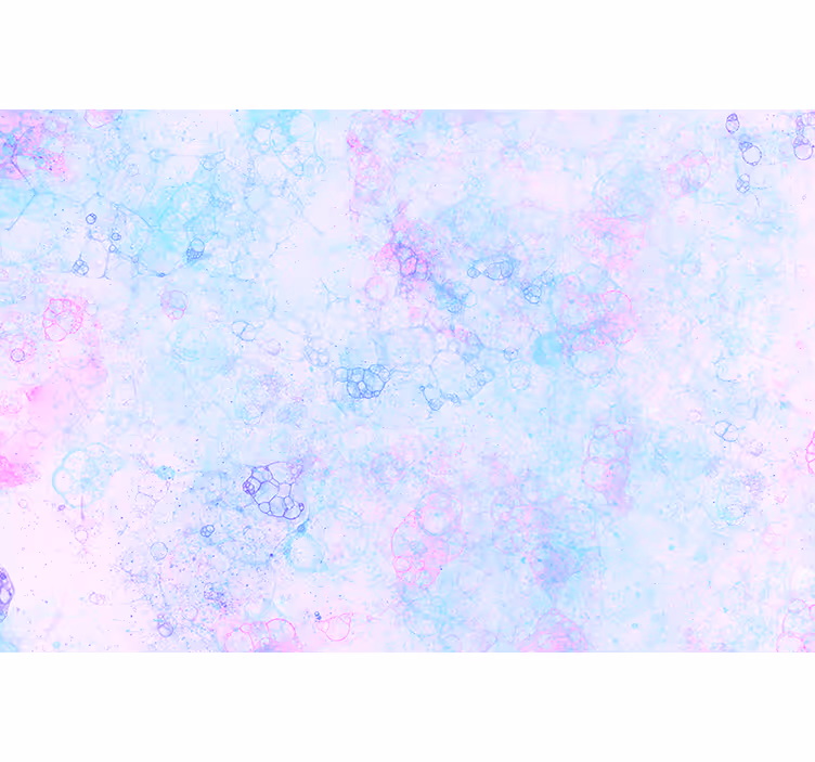 Murais de Parede 3D bolhas rosa e azul - TenStickers