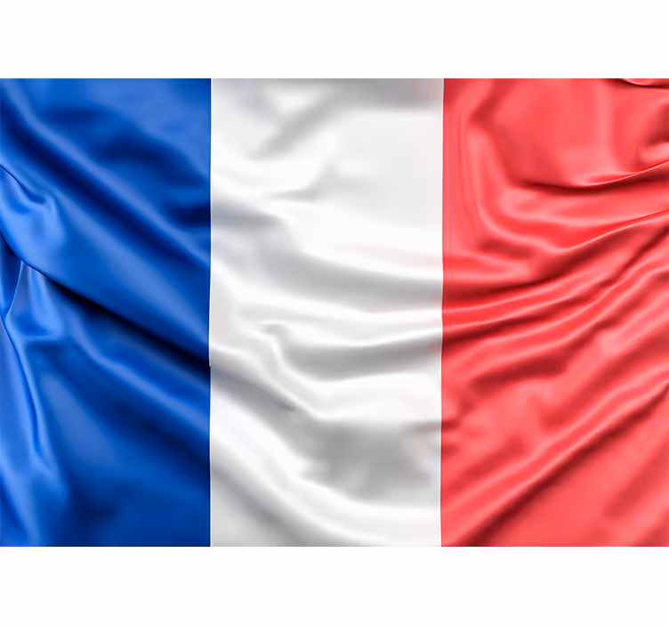 Mural de parede de outras cidades e países bandeira francesa - TenStickers