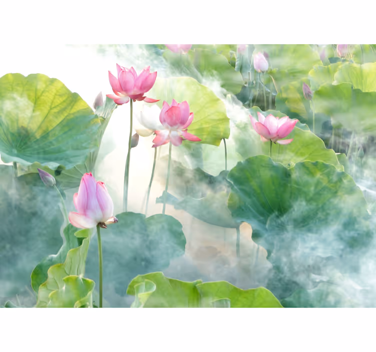 Fotomurais flores Flores de lótus pacíficas - TenStickers