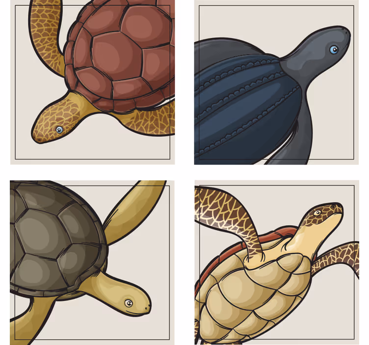 Bases para copos com ilustrações de tartarugas coloridas - TenStickers